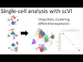 Single-cell analysis with scVI machine-learning toolkit