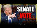 🔴Senate VOTES to END the SHUTDOWN.🔴