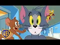 Tom Jerry Tom s Tick Problem WB Kids