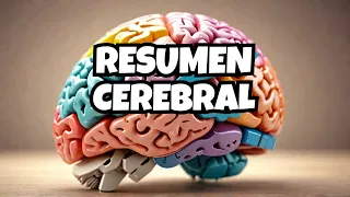 The Brain in Summary, its parts and functions.