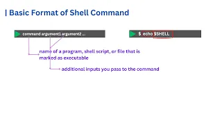 Understanding the Basic Format of Shell Commands Arguments and Variables Explained