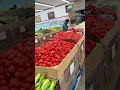 Indian Grocery Store in Milpitas CA - Apni Mandi