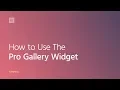How to Use The Pro Gallery Widget in Elementor