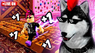 JOGOS ALEATÓRIOS do ROBLOX AO VIVO! 😱🔥 #maglobao #roblox