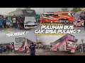 Lagu INI DIA BUKTI SOLODARITAS CREW BUS ! PULUHAN BUS TERTAHAN🥵Dorama \u0026 Tr4gedi Trip Papandayan 2025