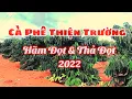 Lagu CÀ PHÊ THIỆN TRƯỜNG 2022 - LỰA CHỌN PHƯƠNG PHÁP TỐI ƯU NĂNG SUẤT NHẤT - Cường Tây Nguyên