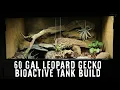 60 Gallon Bioactive Leopard Gecko Tank Build