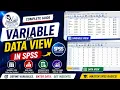 Variable View and Data View in SPSS Complete Beginner Guide