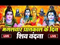 Download Lagu LIVE शिव भजन स्पेशल आज के दिन शिवजी की यह वंदना सुन लेना आपकी हर इच्छा पूरी हो जाएँगी | शिव भजन 2025