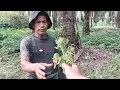 Download Lagu NGEBOLANG MENCARI REZEKI BERSAMA SANG AYAH