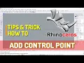 Rhino How To Add Control Points