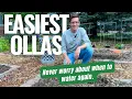 CHEAP and EASY DIY Garden Ollas