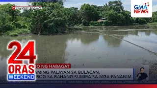 As rising floods destroy rice fields, Bulacan farmers sow resentment | 24 Oras Weekend