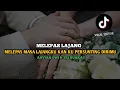 Download Lagu MELEPAS MASA LAJANGKU KAN KU PERSUNTING DIRIMU ( LIRIK ) ARVIAN DWI ft TRI SUAKA