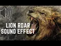 Download Lagu Lion Roar 🦁 Sound Effect🔊