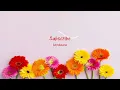 SAMBAVAKAARI SONG LYRICS ❤️ GATTA KUSTHI 2/VISHNU VISHAL/AISHWARYA LEKSHMI/SEAN ROLDAN ×SAINDHAVI