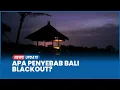 Download Lagu Apa Penyebab Mati Lampu di Bali? PLN Bantah Kabel Bawah Laut Putus