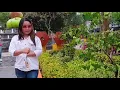Download Lagu Nostalgia lagu Gentabuana - Berdosakah ku  Mencintaimu