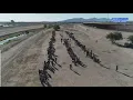 Yuma mayor Drop in illegal border crossings is artificial NewsNation Prime