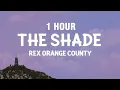 Download Lagu [1 HOUR] Rex Orange County - THE SHADE (Lyrics)
