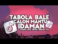 Download Lagu DJ TABOLA BALE X CALON MANTU IDAMAN MAMAMU VIRAL TIKTOK TERBARU SLOW REMIX 2025
