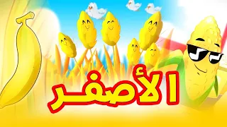 ألوان   الأصفر   طيور بيبي            دندنها