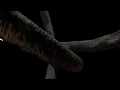 Phoenix Forgotten VFX Reel Territory Studio
