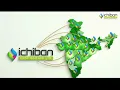 A Decade of Excellence - Ichiban Crop Science Ltd