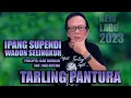 Download Lagu WADON SELINGKUH - VOC. IPANG SUPENDI- CIPT. ILAH TARSILAH || TARLING PANTURA 2023 Mp3