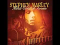 Iron Bars (Acoustic Version)