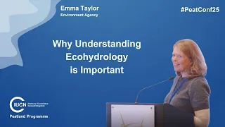 Understanding Ecohydrology: Key Concepts and Practices