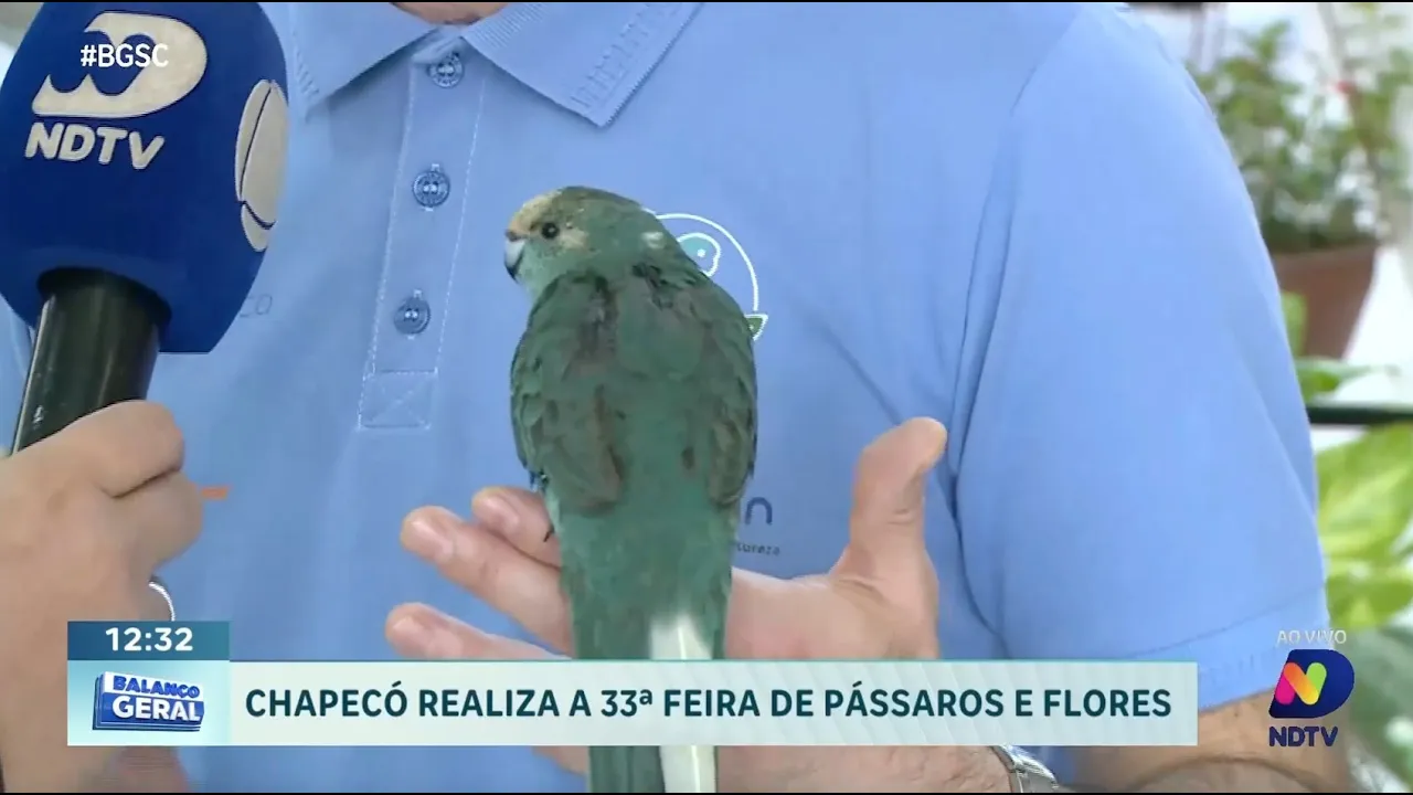 Feira de Pássaros e Flores volta a encantar Chapecó com perfume e canto