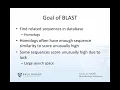 Bioinformatics 04 E Values 11 17