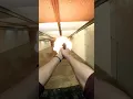 This Desert Eagle IS NOT