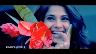 hbd jennifer winget 