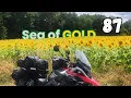 Download Lagu Crossing Europe 2025 - Day 02 (#87) 281 km
