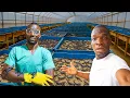 How He's Running a Million Dollar Scorpion Farm In Nigeria
