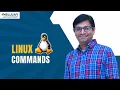 VI Editor Explained Insert Execution Modes in Linux Master VI Commands Easily