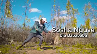 sosha nguve tsebe tsame dia babababa official music video 