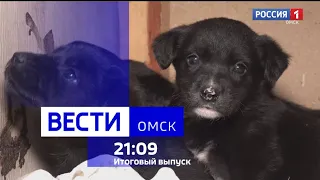 «Вести Омск», итоги дня от 13 ноября 2023 года