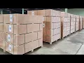 Nationwide Shipping Today OR Visit SaferWholesale In New Lenox Illinois