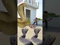 Download Lagu snake 🐍🐍 video cartoon magic vfx funny video #shortvideo Ram Bhakt❤🙏 #JayBholenath #shortfeed #viral