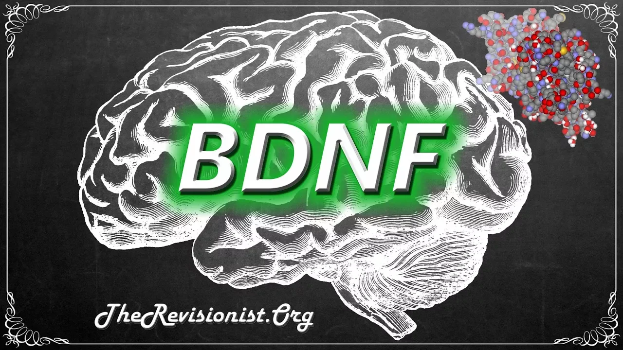 Understanding BDNF and Its Importance to Brain Health
