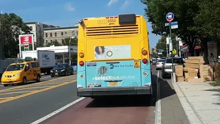 MTA NYC Bus 2019 Novabus LFS Articulated SmartBus On The Bx41 Select Bus Service