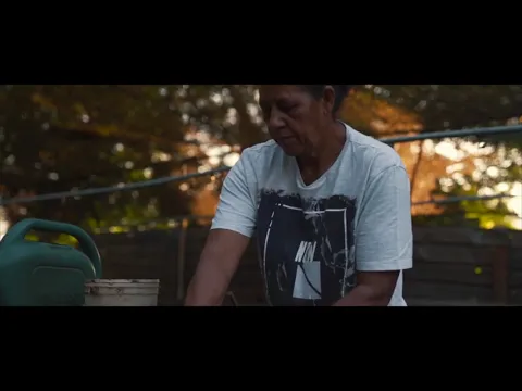 Vídeo do YouTube