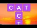 Unleash Your Creativity with Wordscap The Ultimate Word Game Adventure