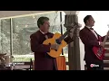 Tres Regalos  -  Las Inolvidables de Los Dandy´s 4K