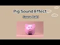 Pig Soud Effect | Suara Babi | Free Copyright