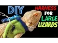 DIY Large Lizard Harness Great for Bearded Dragons