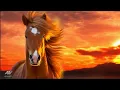 Download Lagu Deze Doordringt de Ziel met Zachte Muziek zonder Woorden voor Ontspanning van de Drukte 💎